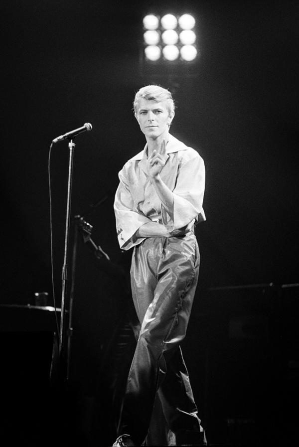 Bowie3