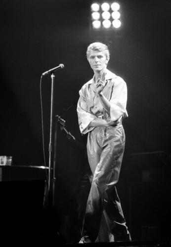 2-Bowie-60-x-90-cm